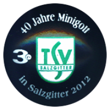 40 Jahre TSV Salzgitter 