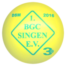 DSM 2016 Singen 