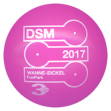 DSM 2017 Wanne-Eickel 