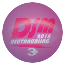 DSM 2018 Neutraubling 