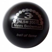 BOF NlSM 2007 Mees Bouwman 