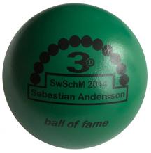 BOF SwSchM 2014 Sebastian Andersson 