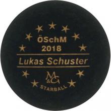 mg Starball ÖSchM 2018 Lukas Schuster "matt" 