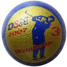 3D DSM 2007 Weinheim Raulack 