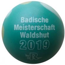 Reisinger BM 2019 Waldshut lackiert 