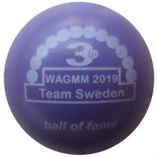 BOF WAGMM 2019 Team Sweden 