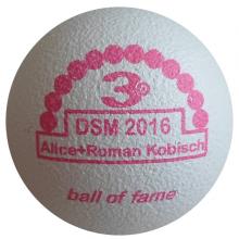 BOF DSM 2016 Alice+Roman Kobisch 