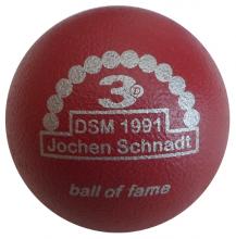 BOF DSM 1991 Jochen Schnadt 
