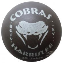 3D Cobras Harrislee Rohling 