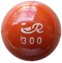 Reisinger 300 