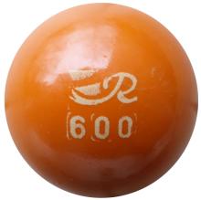 Reisinger 600 