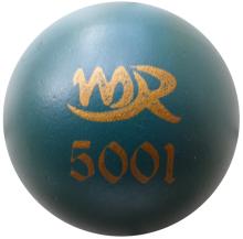MR 5001 