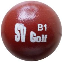 SV Golf B1 