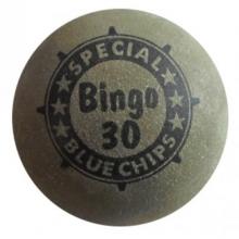 mg Blue Chips Bingo 30 