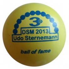 BOF DSM 2013 Udo Sternemann 