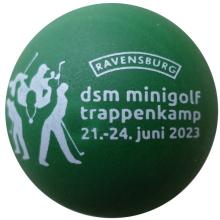 Ravensburg DSM 2023 Trappenkamp "matt" 