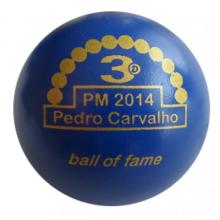 BOF PM 2014 Pedro Carvalho 