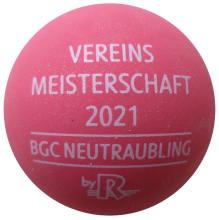 Reisinger Vereinsmeisterschaft 2021 Neutraubling Rohling 