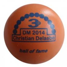 BOF DM 2014 Christian Delasbé 