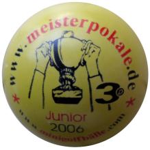 3D Junior 2006 Meisterpokale lackiert 